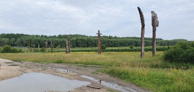 Sculptures sur tronc d'arbres en plein champ